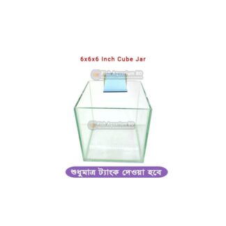 6x6x6 inch Cube Jar Transparent Fish Glass Aquarium or Jar 6 inch Fish Tank (ONLY Aquarium)