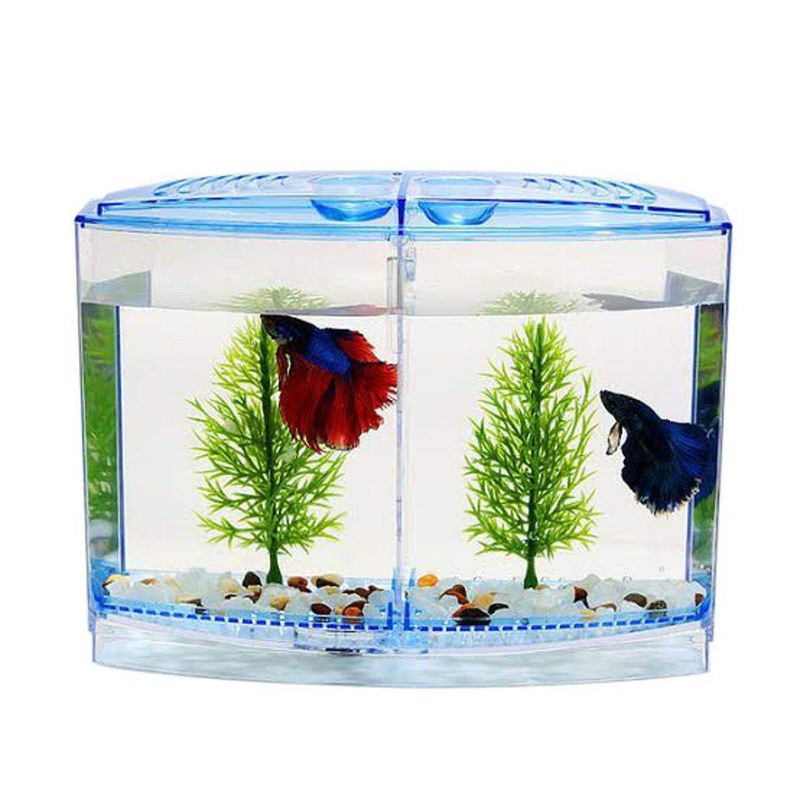 Mini Betta Fish Double House Tank Rectangle Aquarium Tank (1 L)