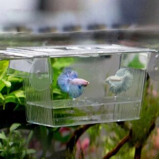 New Acrylic Fish Tank Breeding Incubator Grow Seedling Reproduction Holder Breeder Isolation Box Aquarium Fish Fry Aquarium