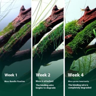 200M Naturally Degradable Moss Thread Cotton Grass Jar Binding Sinking Wood Aquarium Landscape Water Grass Decoration Accessorie