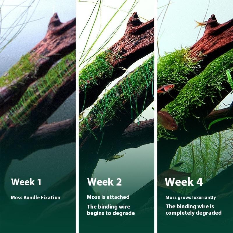 200M Naturally Degradable Moss Thread Cotton Grass Jar Binding Sinking Wood Aquarium Landscape Water Grass Decoration Accessorie