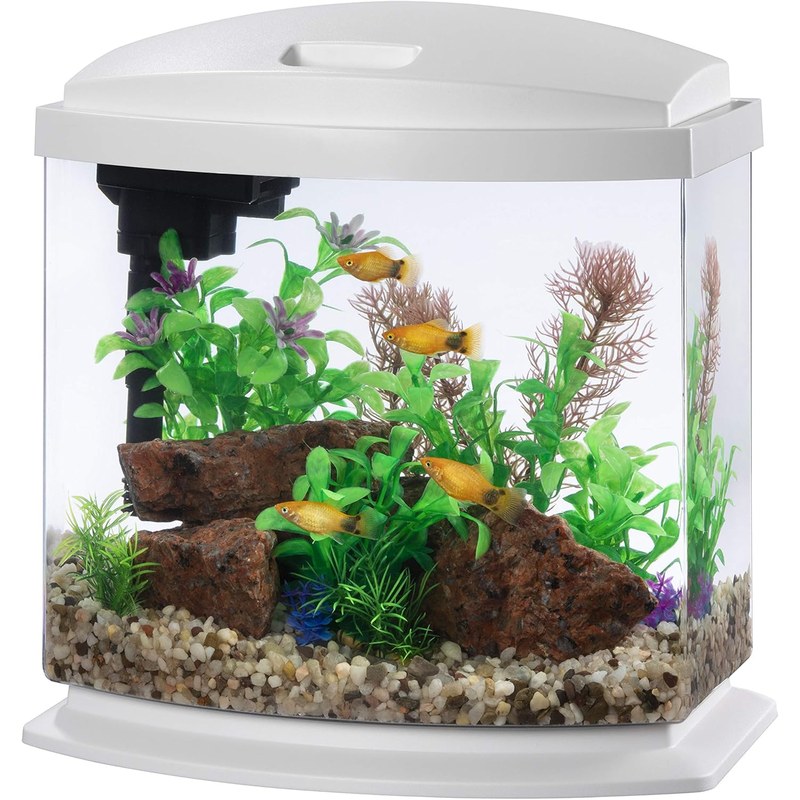 Aqueon LED MiniBow Small Aquarium Fish Tank Kit with SmartClean Technology, Blue,