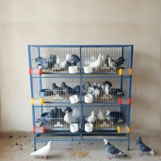 Heavy Duty Metal Pet Cage for Birds, Pigeon, Chicken, Cat & Small Pets – 1 Floor to 8 Floor Choosable Size Cage with Divider & Free Tray