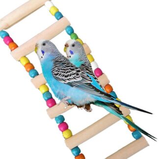 4 Styles Small Birds Toys Pet Toy Accessories Drawbridge Bridge Wooden Singing Cockatiel Parrot Toys - 13 ladders with 1 bead interval