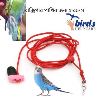 Birds Leg Chain For Small All Birds Flying