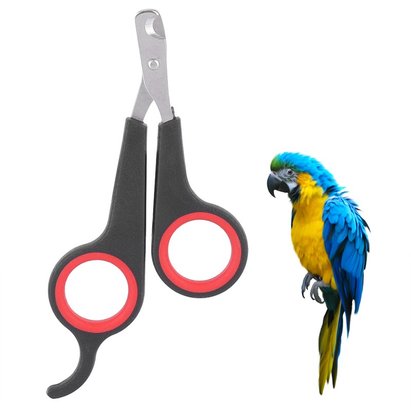 Bird Nail Clipper Parrot Nail Scissors Pet Bird Parrot Small Animals Accessory Grooming Tool Nail Scissors Clipper Black and Red