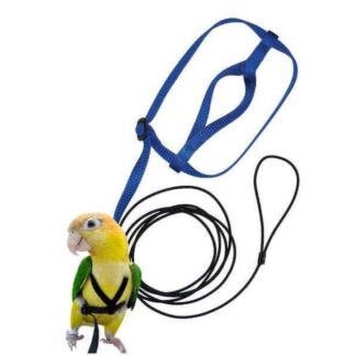 Adjustable Parrot Bird Harness Leash Anti-Bite Flying Training Rope Pet Outdoor Traction Fit Budgerigar Lovebird Cockatiel Mynah Small Birds - Black